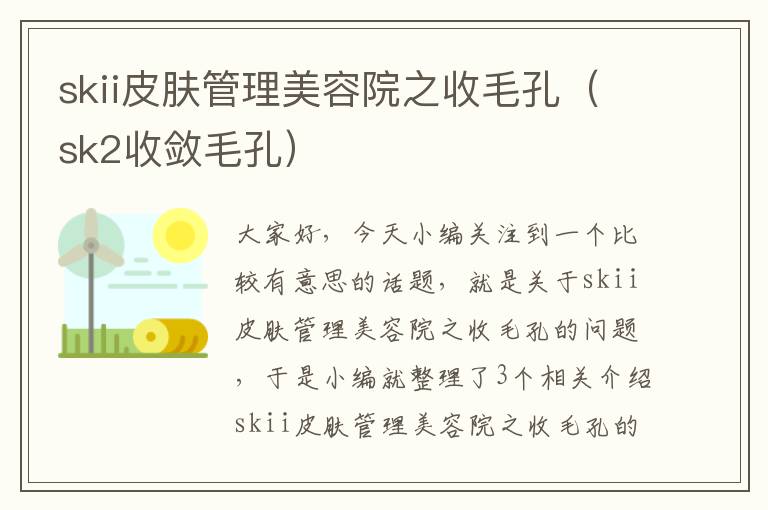 skii皮肤管理美容院之收毛孔（sk2收敛毛孔）