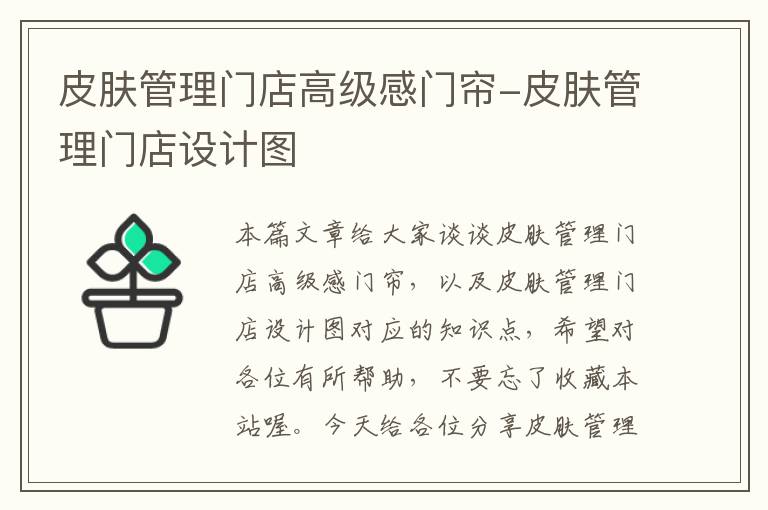 皮肤管理门店高级感门帘-皮肤管理门店设计图