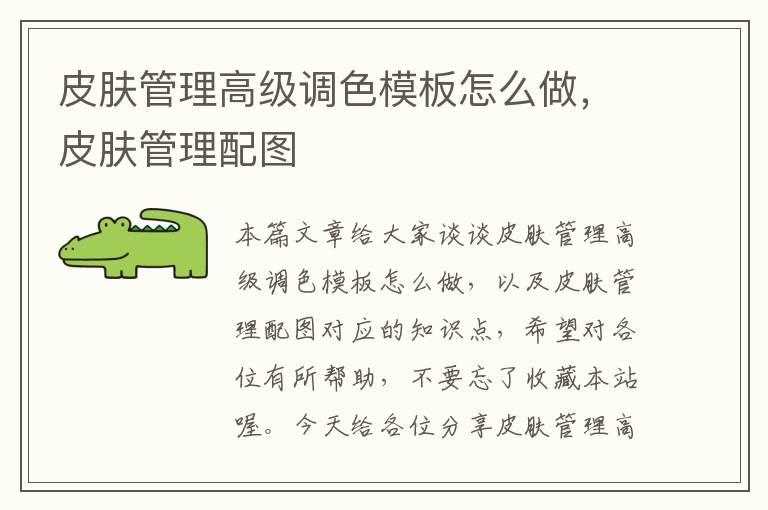 皮肤管理高级调色模板怎么做，皮肤管理配图