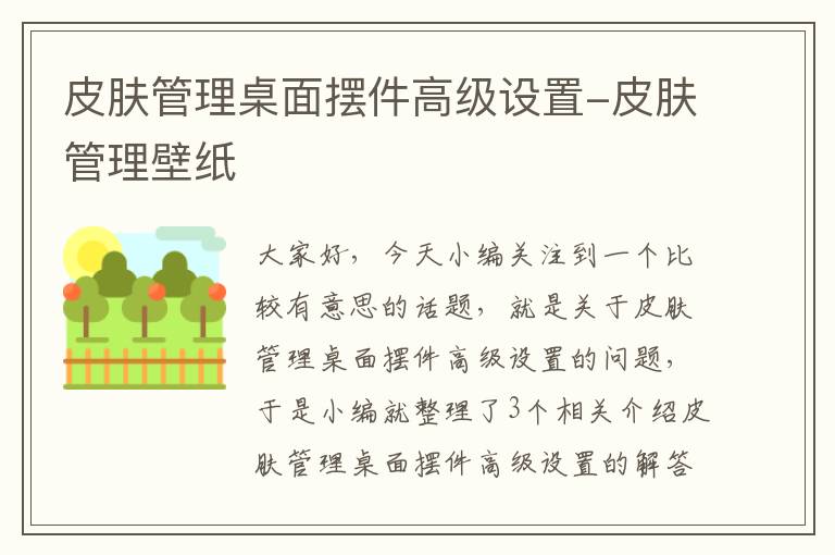 皮肤管理桌面摆件高级设置-皮肤管理壁纸