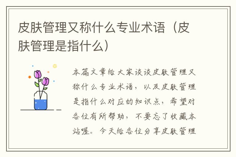 皮肤管理又称什么专业术语（皮肤管理是指什么）