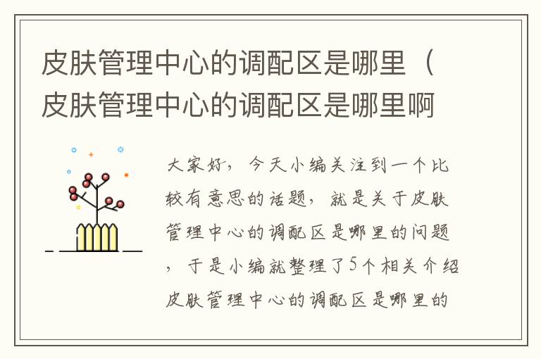 皮肤管理中心的调配区是哪里（皮肤管理中心的调配区是哪里啊）