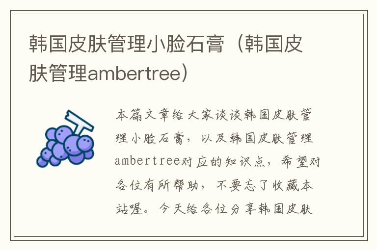 韩国皮肤管理小脸石膏（韩国皮肤管理ambertree）