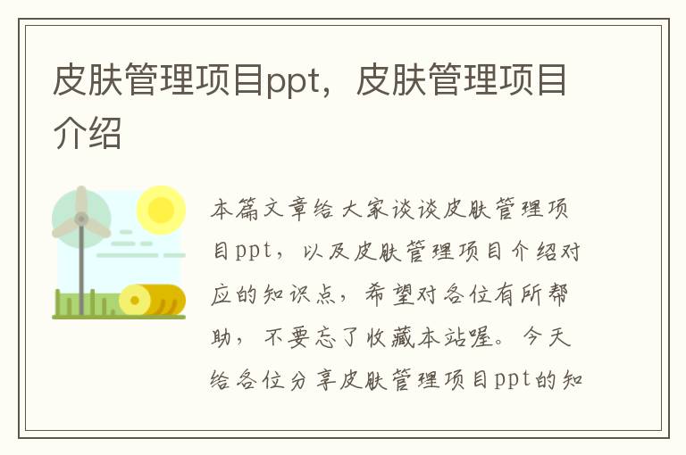 皮肤管理项目ppt，皮肤管理项目介绍