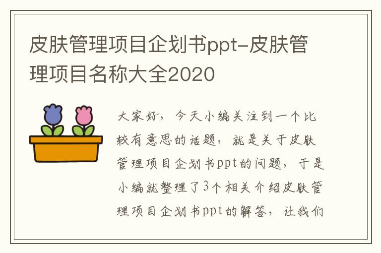 皮肤管理项目企划书ppt-皮肤管理项目名称大全2020