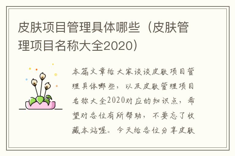 皮肤项目管理具体哪些（皮肤管理项目名称大全2020）