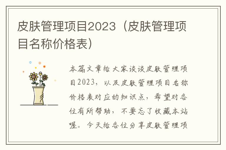 皮肤管理项目2023（皮肤管理项目名称价格表）