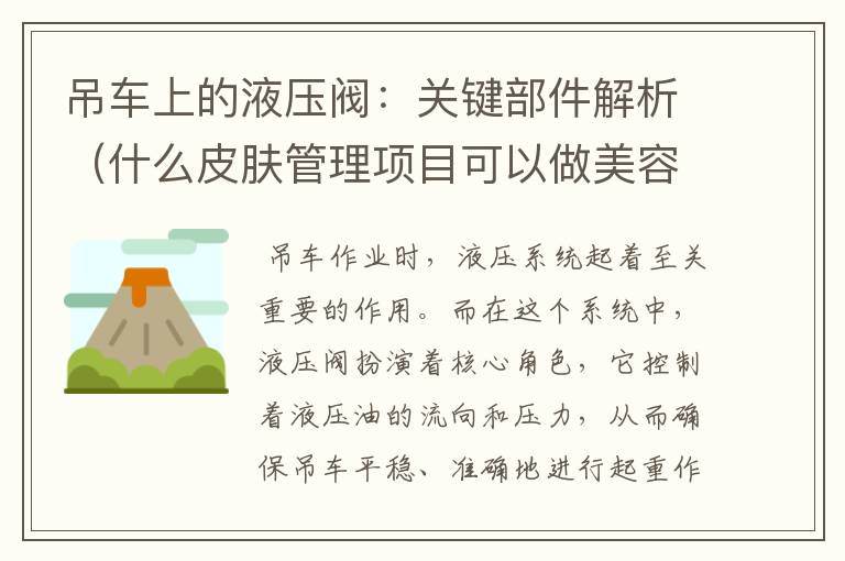 吊车上的液压阀：关键部件解析（什么皮肤管理项目可以做美容护肤）