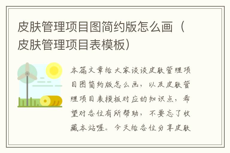 皮肤管理项目图简约版怎么画（皮肤管理项目表模板）