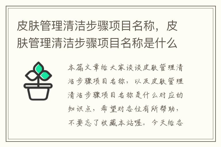 皮肤管理清洁步骤项目名称，皮肤管理清洁步骤项目名称是什么