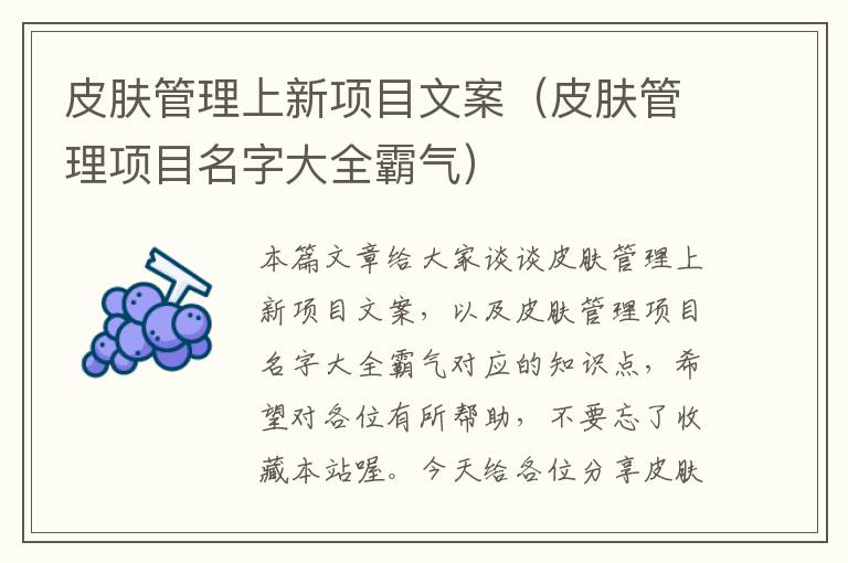 皮肤管理上新项目文案（皮肤管理项目名字大全霸气）