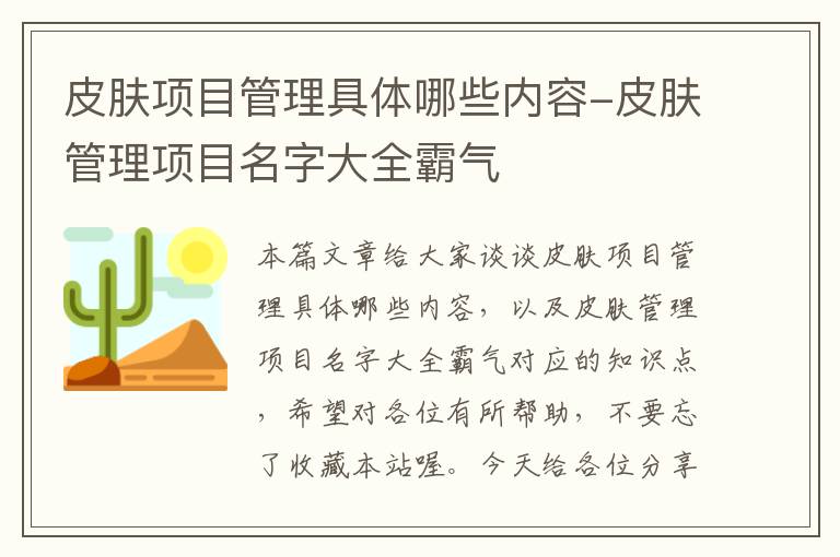 皮肤项目管理具体哪些内容-皮肤管理项目名字大全霸气