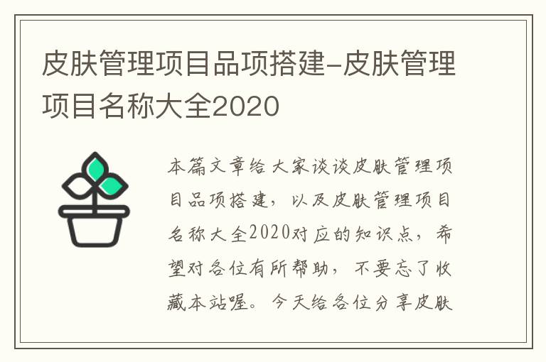 皮肤管理项目品项搭建-皮肤管理项目名称大全2020