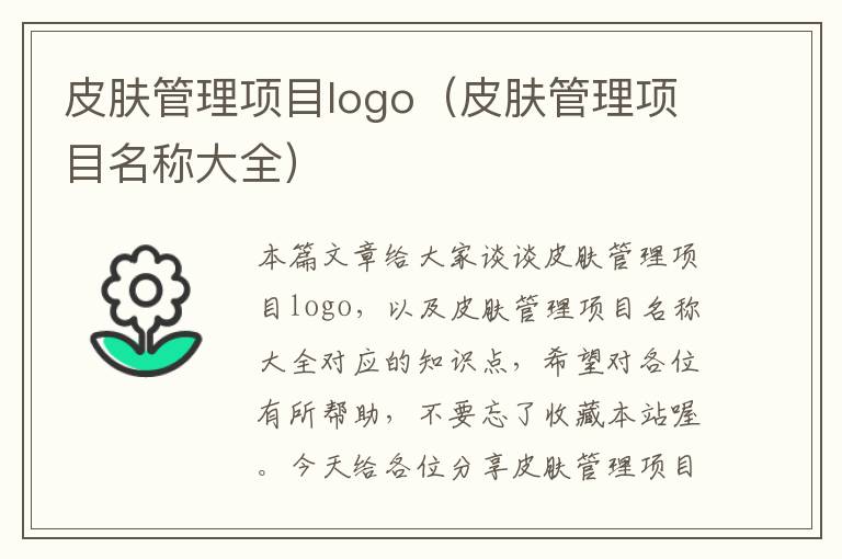 皮肤管理项目logo（皮肤管理项目名称大全）