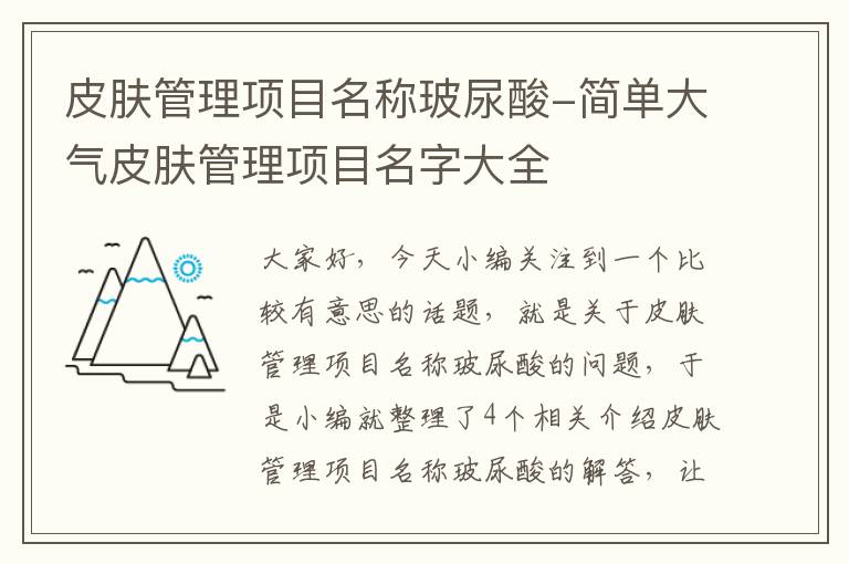 皮肤管理项目名称玻尿酸-简单大气皮肤管理项目名字大全